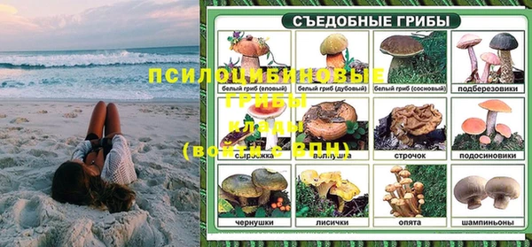 эйфоретик Липки