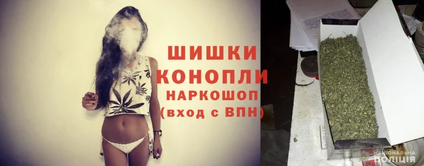 эйфоретик Липки