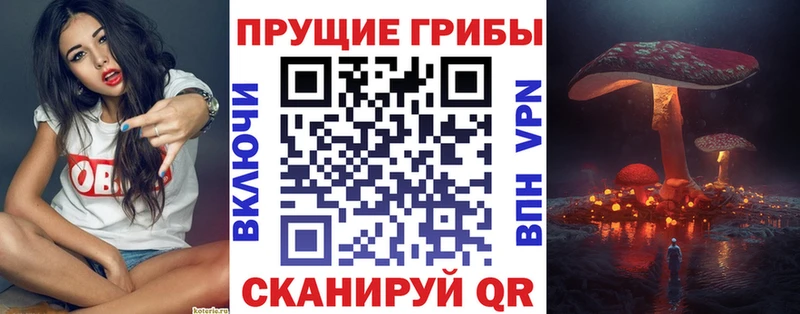 блэк спрут маркетплейс  Партизанск  Галлюциногенные грибы Psilocybine cubensis 