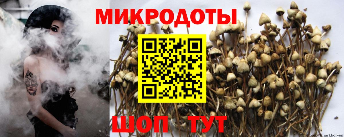 Галлюциногенные грибы Magic Shrooms Партизанск